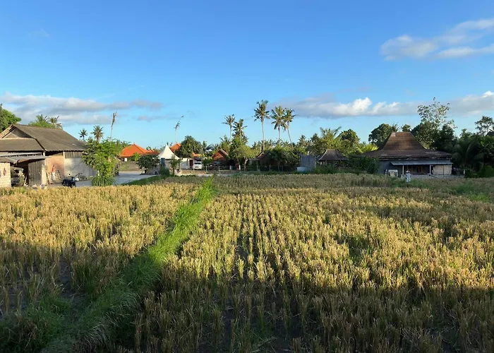 Munay * Ubud